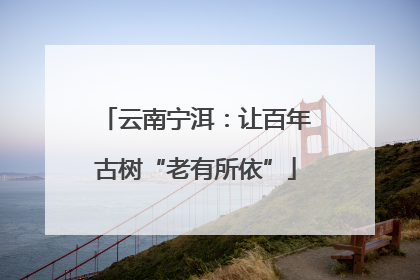云南宁洱：让百年古树“老有所依”