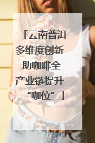 云南普洱多维度创新 助咖啡全产业链提升“咖位”