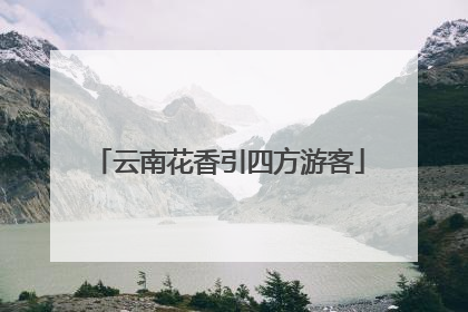 云南花香引四方游客