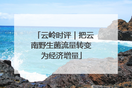 云岭时评｜把云南野生菌流量转变为经济增量