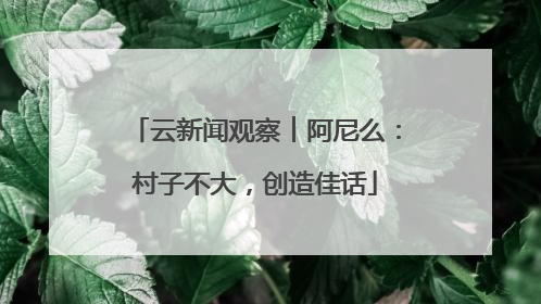 云新闻观察︱阿尼么：村子不大，创造佳话