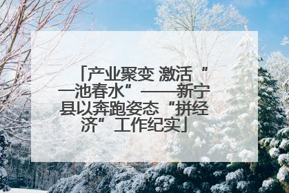 产业聚变 激活“一池春水”——新宁县以奔跑姿态“拼经济”工作纪实