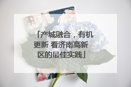 产城融合，有机更新 看济南高新区的最佳实践