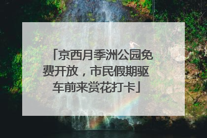 京西月季洲公园免费开放，市民假期驱车前来赏花打卡