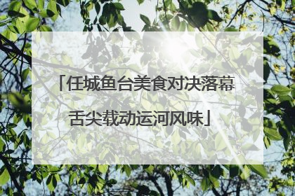 任城鱼台美食对决落幕 舌尖载动运河风味