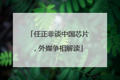 任正非谈中国芯片，外媒争相解读