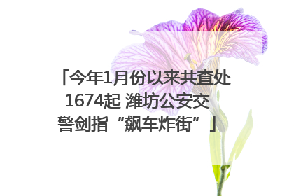 今年1月份以来共查处1674起 潍坊公安交警剑指“飙车炸街”