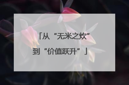从“无米之炊”到“价值跃升”