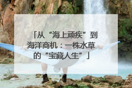 从“海上顽疾”到海洋商机：一株水草的“宝藏人生”
