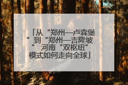从“郑州—卢森堡”到“郑州—吉隆坡” 河南“双枢纽”模式如何走向全球