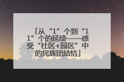 从“1”个到“11”个的延续——感受“社区+园区”中的民族团结情