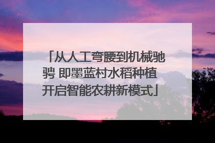 从人工弯腰到机械驰骋 即墨蓝村水稻种植开启智能农耕新模式