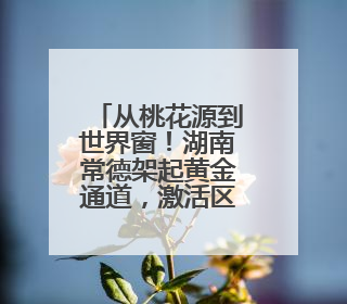 从桃花源到世界窗！湖南常德架起黄金通道，激活区域经济“一池春水”