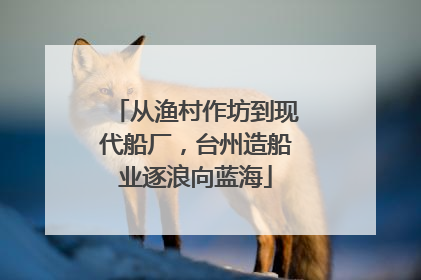 从渔村作坊到现代船厂，台州造船业逐浪向蓝海