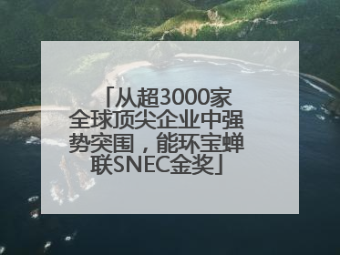 从超3000家全球顶尖企业中强势突围，能环宝蝉联SNEC金奖