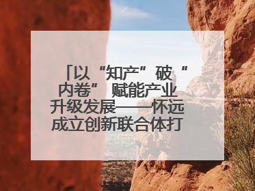 以“知产”破“内卷” 赋能产业升级发展——怀远成立创新联合体打造汽车零部件产业新高地