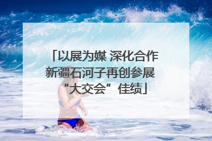 以展为媒 深化合作 新疆石河子再创参展“大交会”佳绩