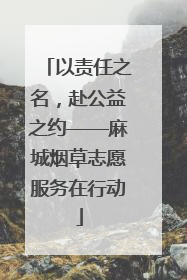 以责任之名，赴公益之约——麻城烟草志愿服务在行动