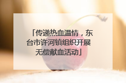 传递热血温情，东台市许河镇组织开展无偿献血活动