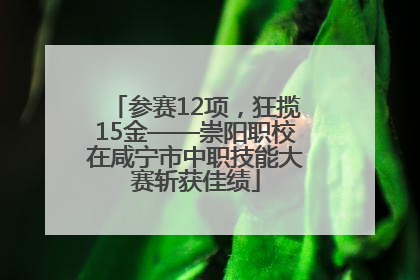 参赛12项，狂揽15金——崇阳职校在咸宁市中职技能大赛斩获佳绩