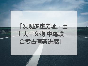 发现多座房址、出土大量文物 中乌联合考古有新进展
