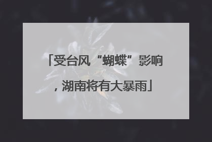 受台风“蝴蝶”影响，湖南将有大暴雨