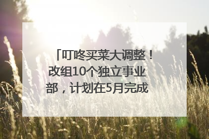 叮咚买菜大调整！改组10个独立事业部，计划在5月完成App端全面改版