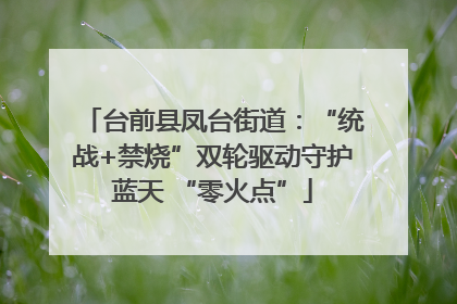 台前县凤台街道：“统战+禁烧”双轮驱动守护蓝天 “零火点”