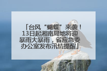 台风“蝴蝶”来袭！13日起湘南局地将迎暴雨大暴雨，省应急委办公室发布汛情提醒
