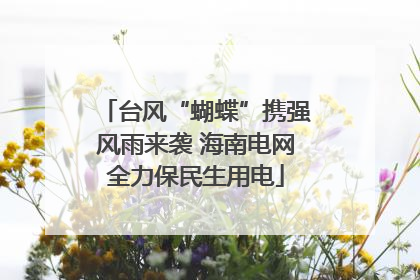 台风“蝴蝶”携强风雨来袭 海南电网全力保民生用电