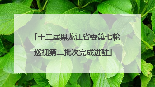 十三届黑龙江省委第七轮巡视第二批次完成进驻