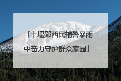 十堰郧西民辅警暴雨中奋力守护群众家园