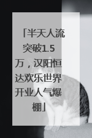 半天人流突破1.5万，汉阳恒达欢乐世界开业人气爆棚