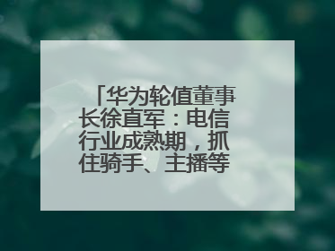 华为轮值董事长徐直军：电信行业成熟期，抓住骑手、主播等成长型需求