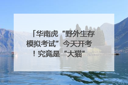 华南虎“野外生存模拟考试”今天开考！究竟是“大猫” 还是顶级猎食者？
