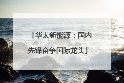 华太新能源：国内先锋奋争国际龙头