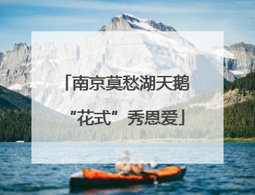 南京莫愁湖天鹅“花式”秀恩爱