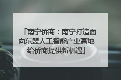 南宁侨商：南宁打造面向东盟人工智能产业高地给侨商提供新机遇