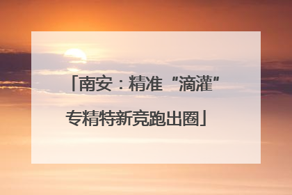 南安：精准“滴灌”专精特新竞跑出圈