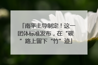 南平主导制定！这一团体标准发布，在“碳”路上留下“竹”迹