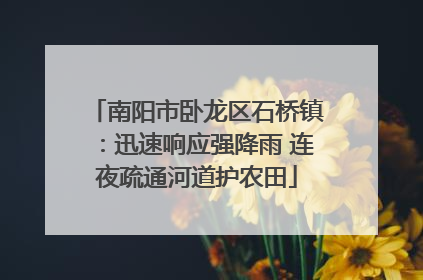 南阳市卧龙区石桥镇：迅速响应强降雨 连夜疏通河道护农田