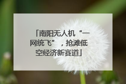 南阳无人机“一网统飞”，抢滩低空经济新赛道