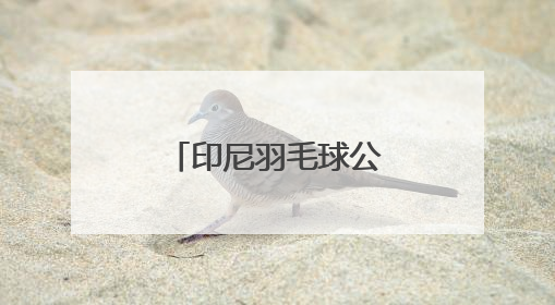印尼羽毛球公开赛｜高昉洁晋级女单八强