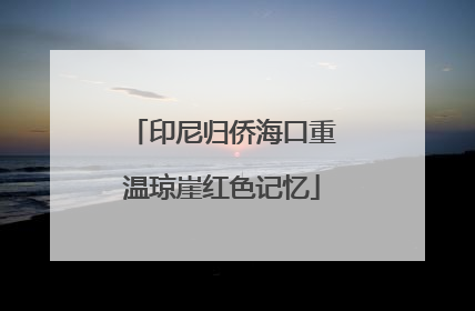 印尼归侨海口重温琼崖红色记忆