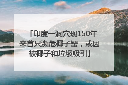 印度一洞穴现150年来首只濒危椰子蟹，或因被椰子和垃圾吸引