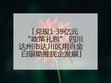 兑现1·39亿元“政策礼包” 四川达州市达川区用真金白银助推民企发展