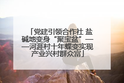 党建引领合作社 盐碱地变身“聚宝盆”——河涯村十年蝶变实现产业兴村群众富