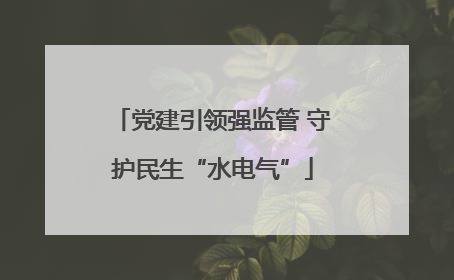 党建引领强监管 守护民生“水电气”