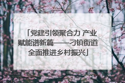党建引领聚合力 产业赋能谱新篇——刁镇街道全面推进乡村振兴