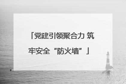 党建引领聚合力 筑牢安全“防火墙”